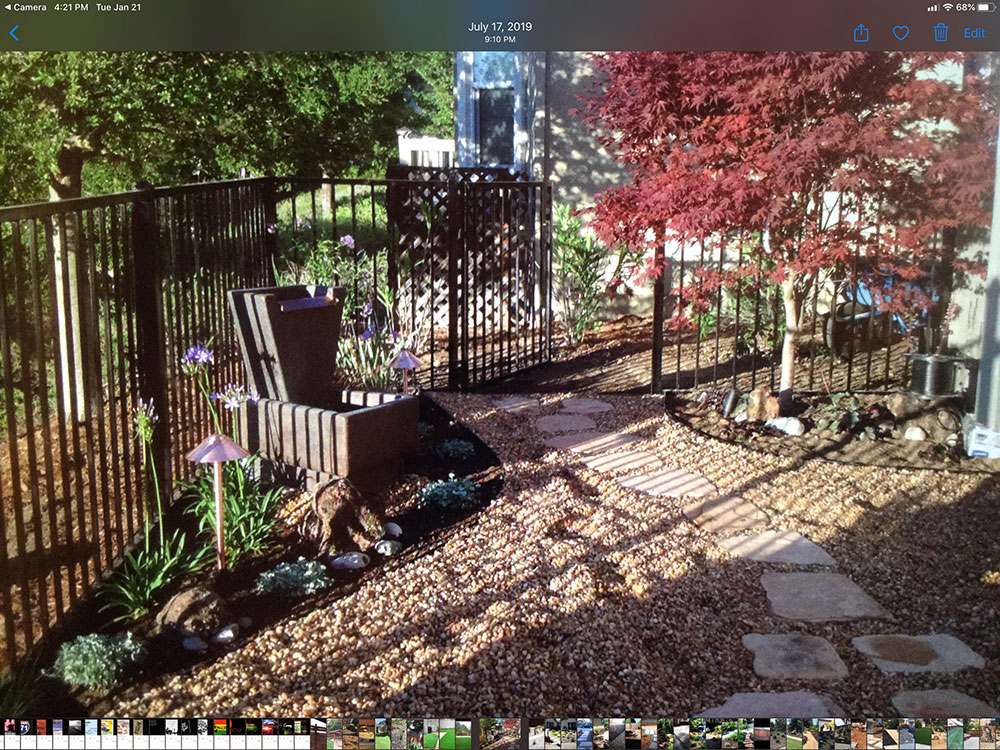 Landscaping Services Image 4