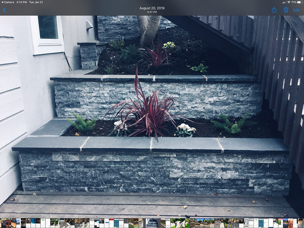 Landscaping Services Image 2
