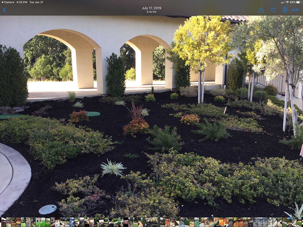 Landscaping Services Image 4